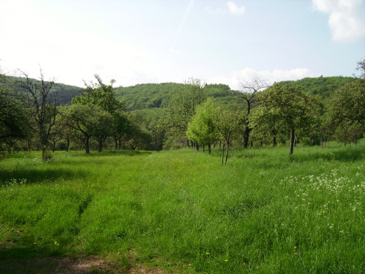 30256 (a): :1600x1200